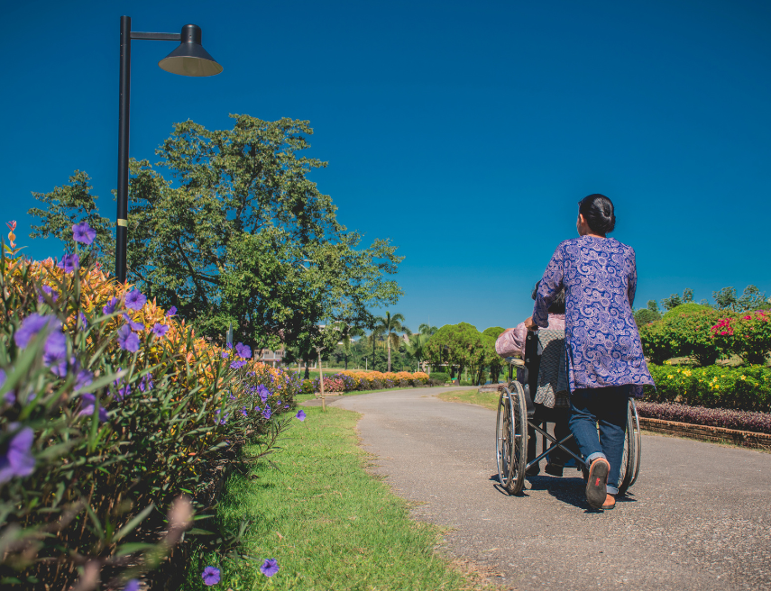 Persona cuidadora paseo con una persona en silla de ruedas por un parque lleno de flores.